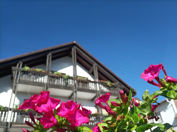 Gästehaus mit Holzbalkonen und pinken Blüten Pinke Blüten im Vordergrund, dahinter das weiße Gästehaus mit Holzbalkonen und Blumenkästen unter blauem Himmel