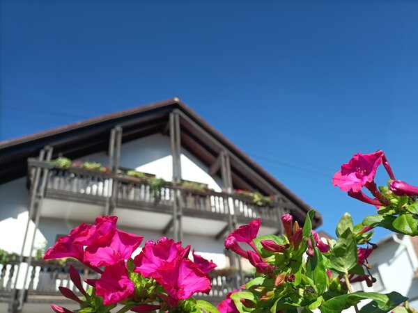 Gästehaus mit Holzbalkonen und pinken Blüten Pinke Blüten im Vordergrund, dahinter das weiße Gästehaus mit Holzbalkonen und Blumenkästen unter blauem Himmel